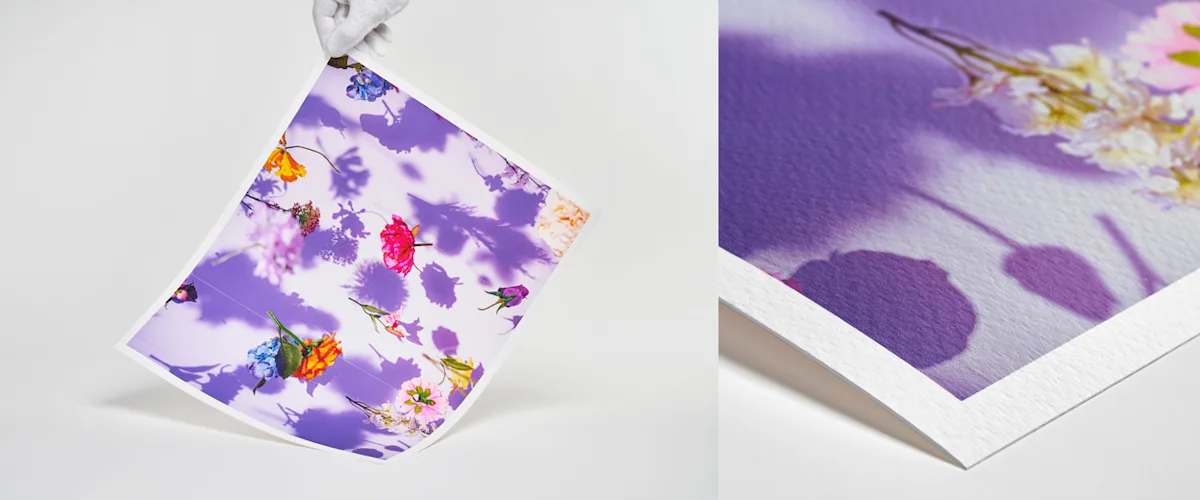 220915 Fine Art Layout SplitImage Hohlkehle+Detail EPSON Fine Art Cotton Textured close up of a print on Epson Fine Art Cotton Textured Bright paper.