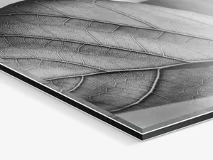 Ilford B/W Photo Print Under Acrylic Glass Black white photo print under acrylic glass with zoom in on the edge.