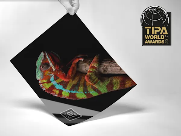 TIPA 2017 - Best Photo Lab photo print featuring vibrant chameleon artwork and TIPA World Awards gold logo, displayed at an angle on white surface