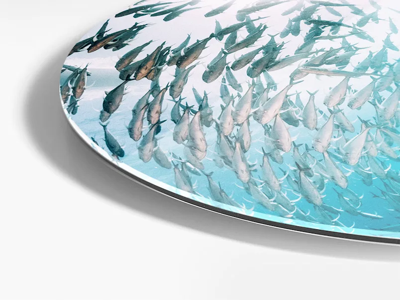 PDP | Round Format & Shapes | Product Selector Section | Media #2 Close upof a round Fomat of an Original Photo Print Under Acrylic Glass.