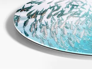 PDP | Round Format & Shapes | Product Selector Section | Media #2 Close upof a round Fomat of an Original Photo Print Under Acrylic Glass.