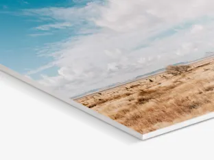 PDP | Direct Print on Forex | Product Selector Section | Media #2 Close up of a corner of a Direct Print On Forex.