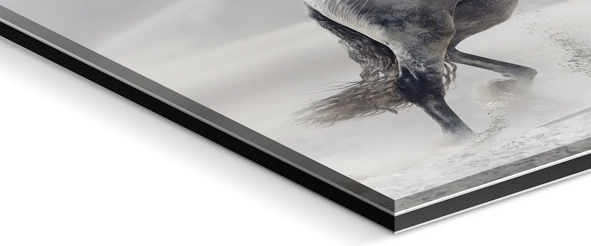 PDP | Floater Frame | Image Slider Section | Slide #1 | Media #1 Close up of the support material.