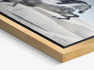 PDP | Floater Frame | Product Selector Section | Media #2 Close up of the image of a white horse jumping in a desert landscape framed in a Floater Frame.