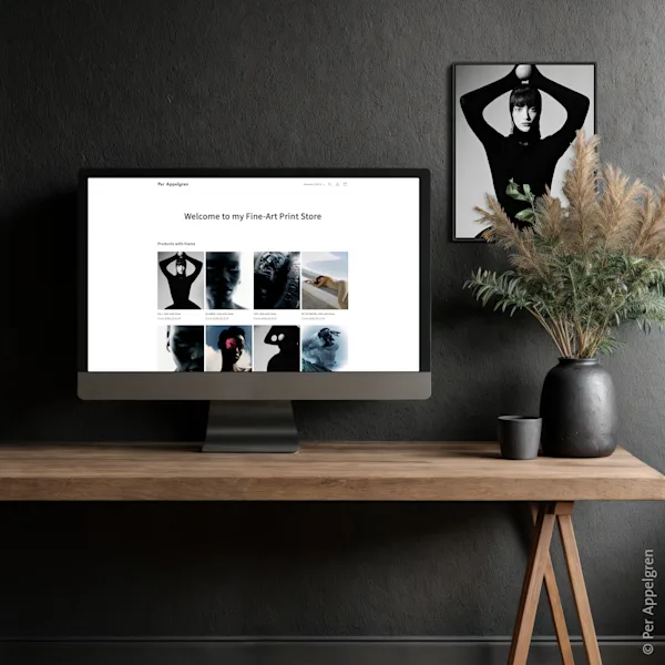 TEST | Asset Shop Appelgreen Computer on a table displaying an online photo gallery with a portrait photo on the wall in the background