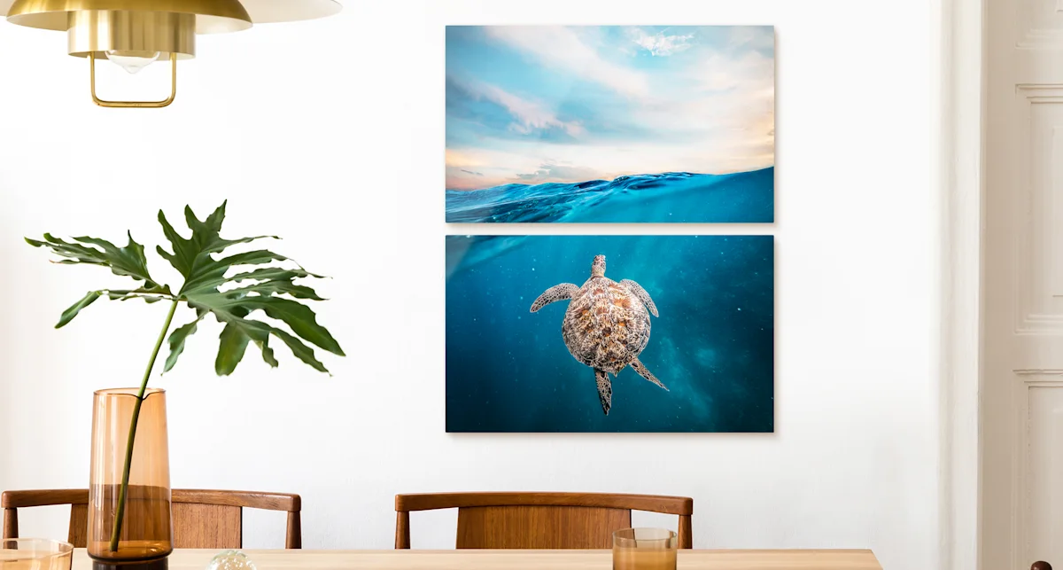 PDP | Multi Panel Wall Art | Big Picture Slider Section > Eye catcher | Slide #3 | Media #1 A turtle swims just below the surface of the sea. The whole picture is divided into two parts that hang vertically on the wall.