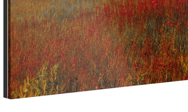 Original Photo Print Under Matte Acrylic Glass - Glass Thickness Close up of the 2mm (1/16 in) glass variant.