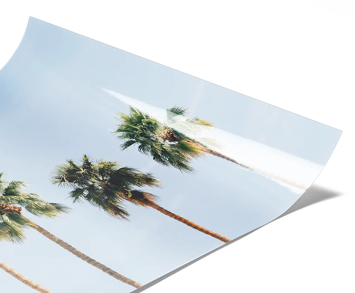 PDP | Acrylic Glass Stand | Image Slider Section | Slide #1 | Media #1 Fuji Crystal DP II