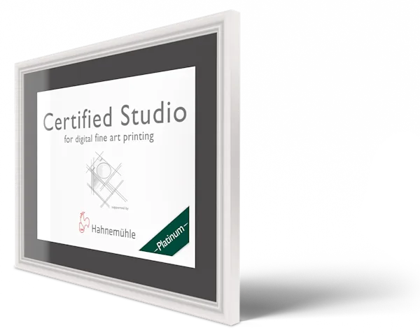Hahnemühle Certified Studio Platinum certificate in a white frame with passe-partout Hahnemühle Certified Studio Platinum certificate in a white frame with passe-partout