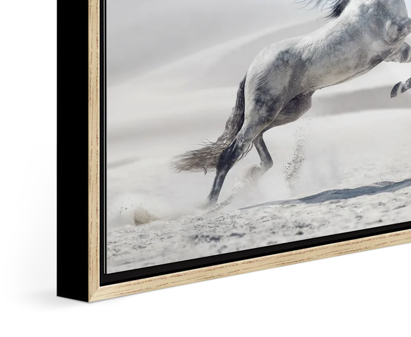 Close up of the image of a white horse jumping in a desert landscape framed in a Floater Frame.