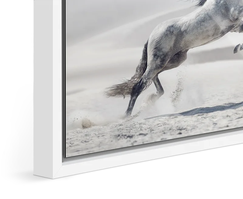 Close-up of standing floater frame Basel 0.59 in. / 15 mm in White matt.