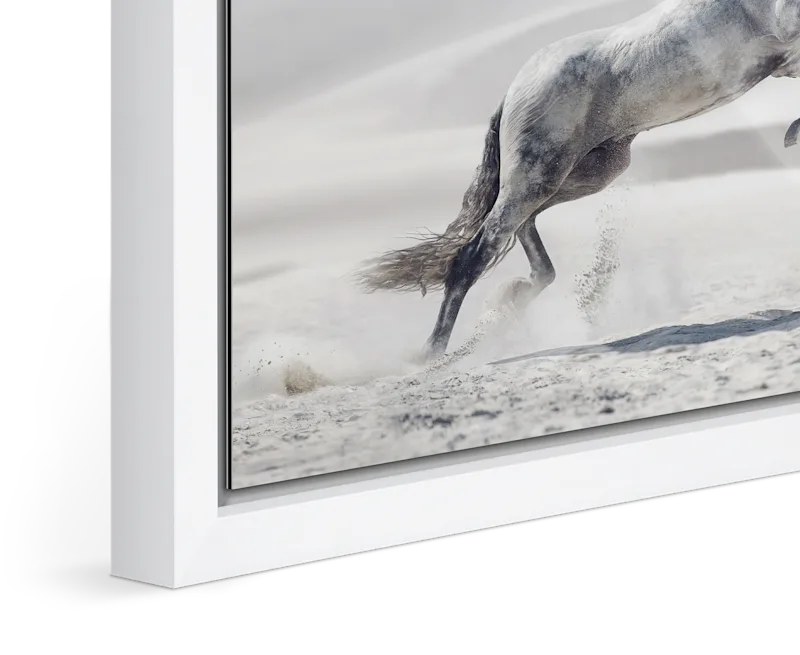 Close up of the image of a white horse jumping in a desert landscape framed in a Floater Frame.