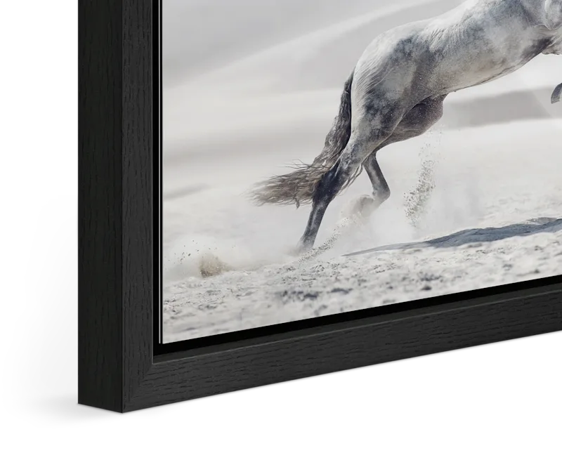 Close up of the image of a white horse jumping in a desert landscape framed in a Floater Frame.